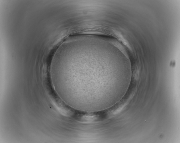 X0000091920213200709121545