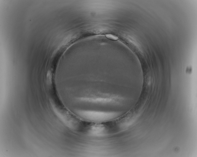 X0000091920214200709121545