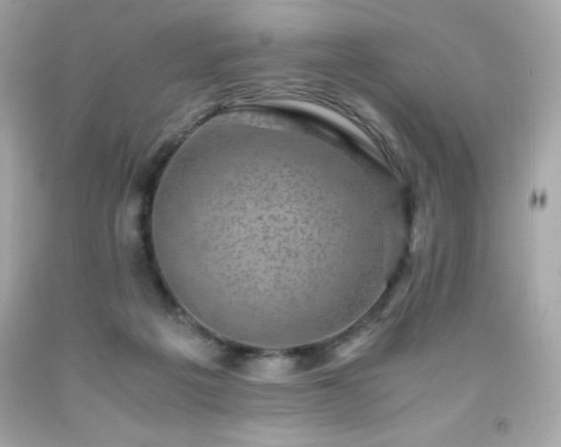 X0000091920217200709121545