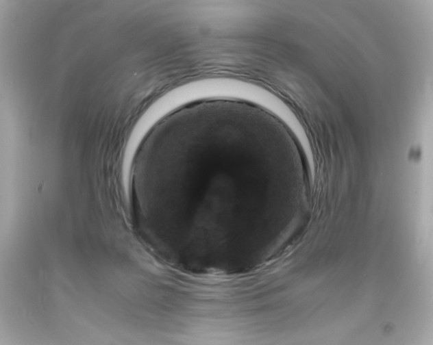 X0000091920219200709121545