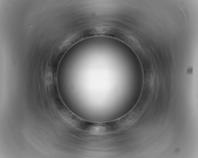 X0000091920220200709121545