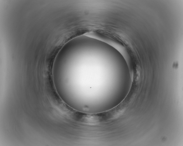 X0000091920221200709121545