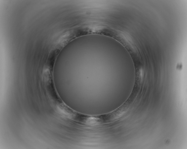 X0000091920222200709121545
