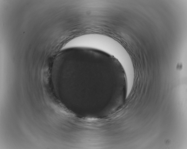 X0000091920223200709121545