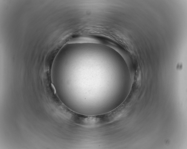 X0000091920225200709121545