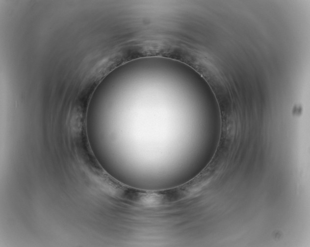 X0000091920226200709121545