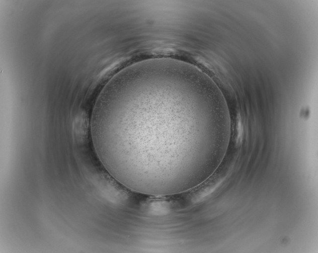X0000091920228200709121545