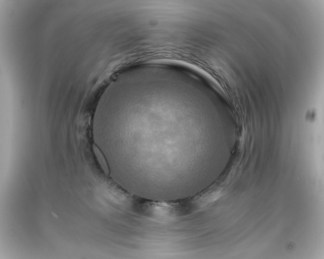 X0000091920229200709121545