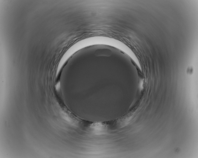 X0000091920231200709121545