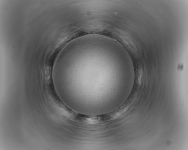 X0000091920232200709121545