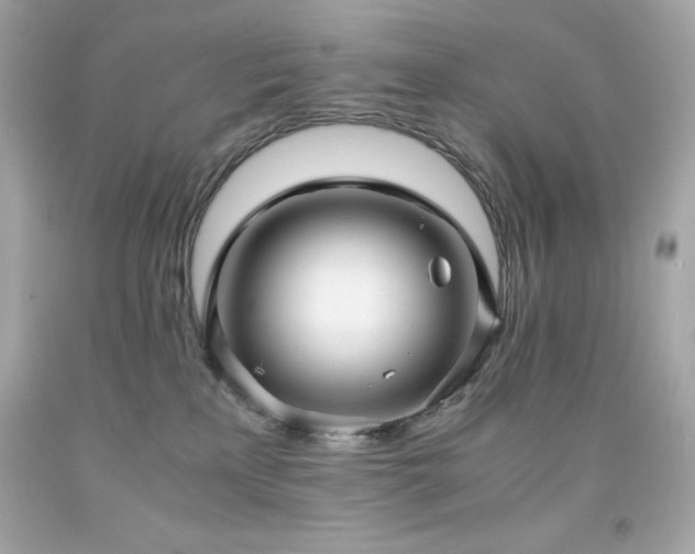 X0000091920233200709121545
