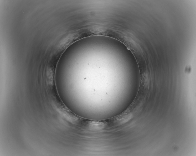 X0000091920234200709121545