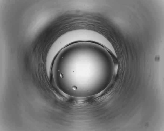 X0000091920239200709121545