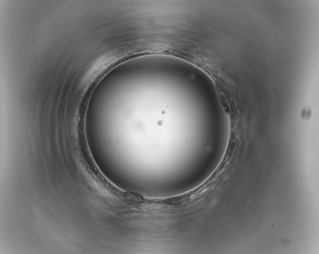 X0000091920242200709121544