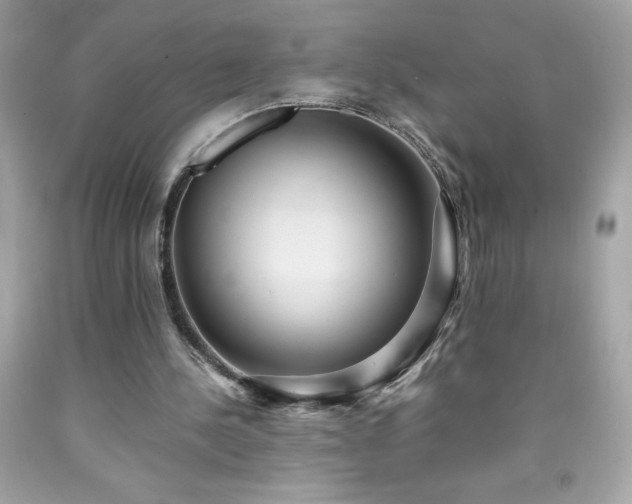 X0000091920244200709121544