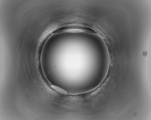 X0000091920245200709121544