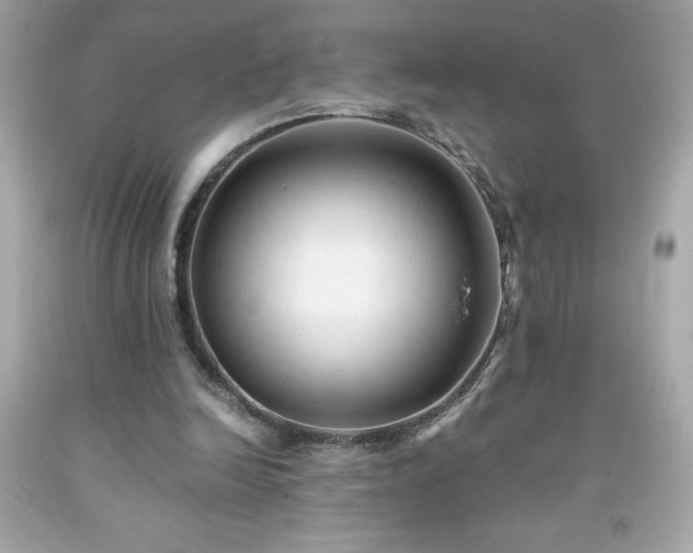 X0000091920246200709121544