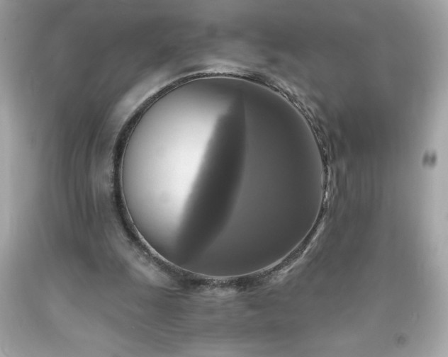 X0000091920247200709121544