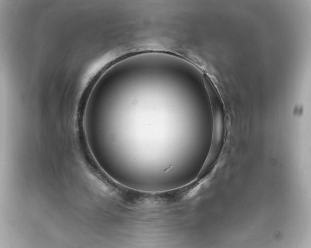 X0000091920248200709121544