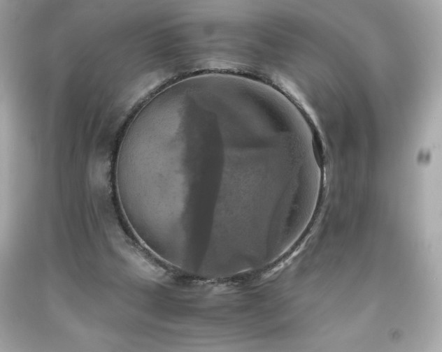 X0000091920249200709121544