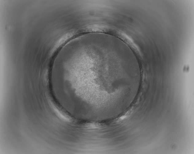 X0000091920250200709121544