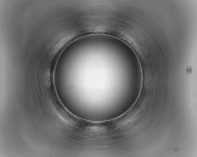 X0000091920251200709121544