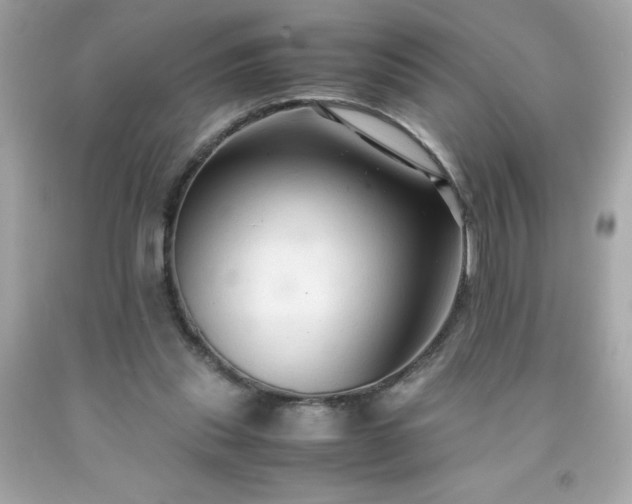 X0000091920253200709121544