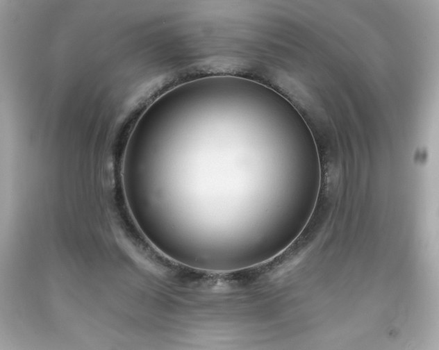 X0000091920254200709121544