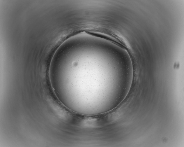 X0000091920257200709121544