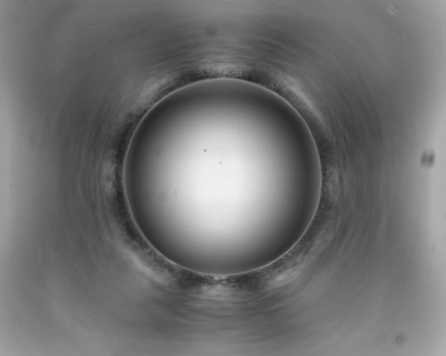 X0000091920259200709121544