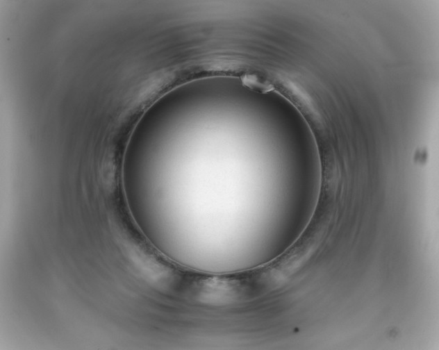 X0000091920261200709121544