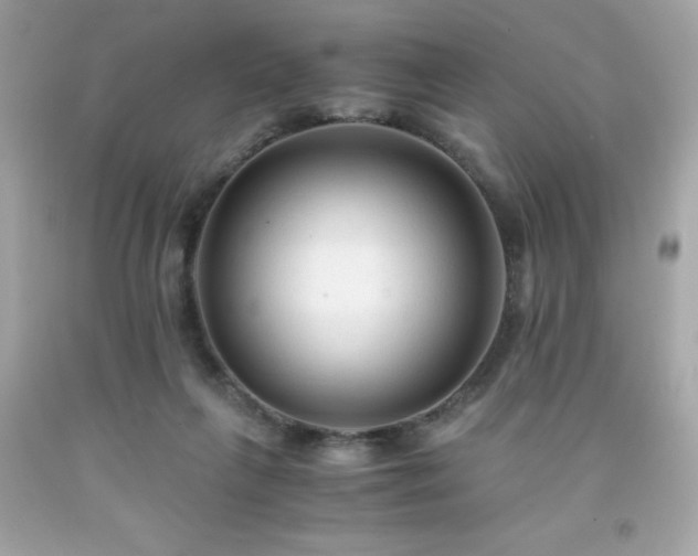 X0000091920263200709121544