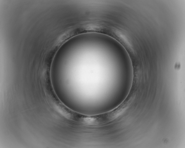 X0000091920265200709121544