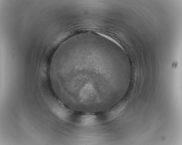 X0000091920266200709121544