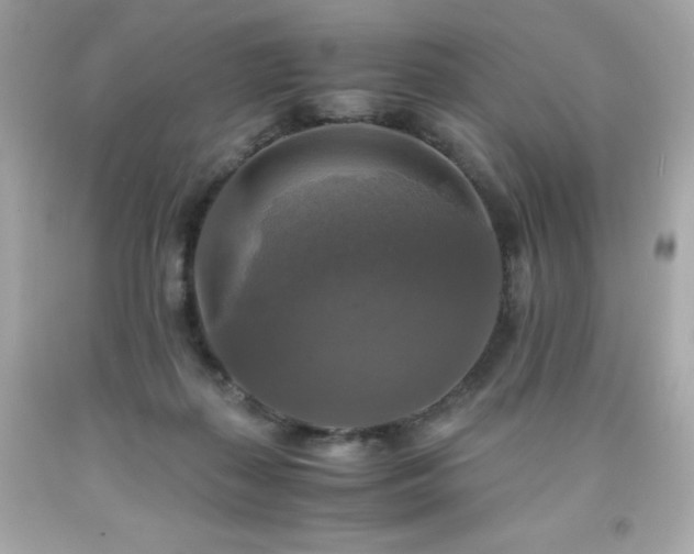 X0000091920267200709121544