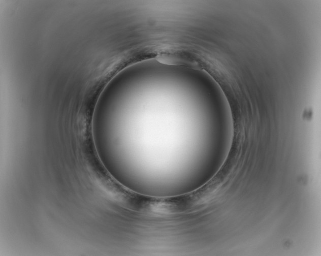 X0000091920268200709121544