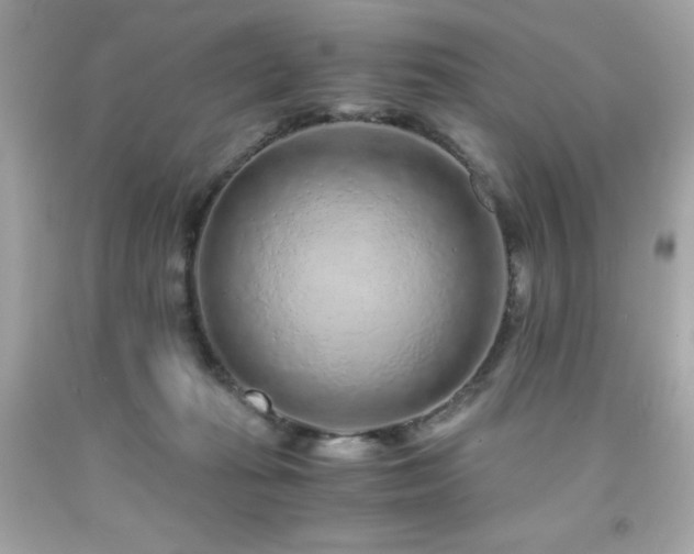 X0000091920269200709121544