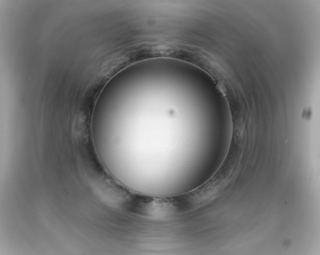 X0000091920270200709121544