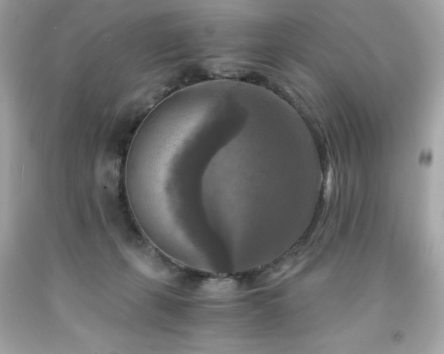 X0000091920271200709121544