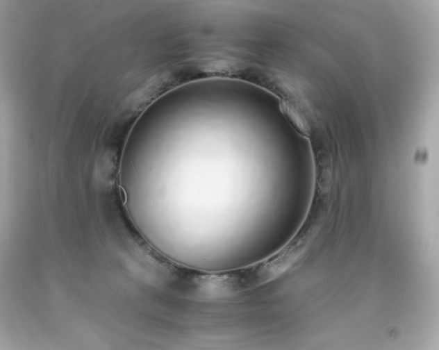 X0000091920273200709121544