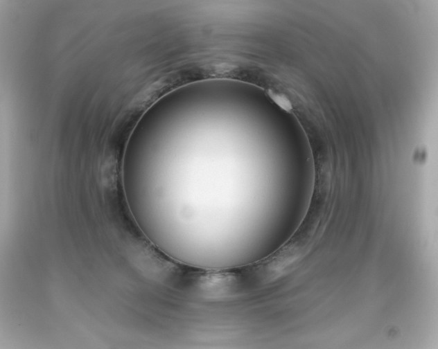 X0000091920274200709121544