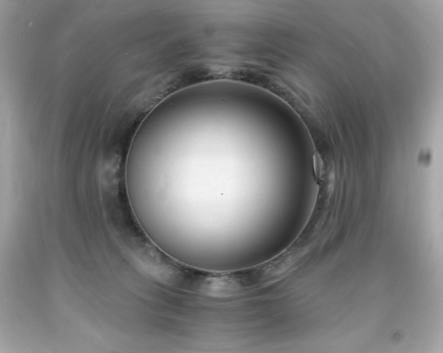 X0000091920275200709121544
