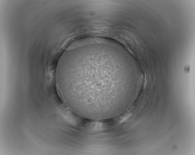 X0000091920276200709121544