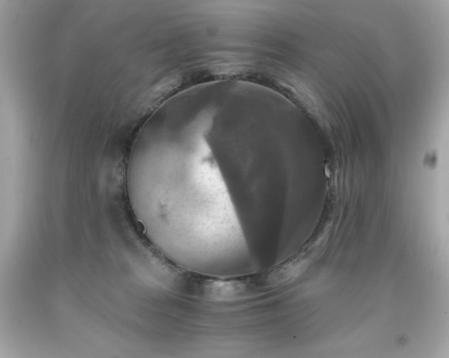 X0000091920277200709121544