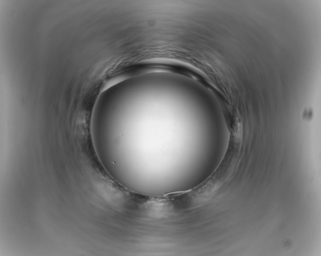X0000091920280200709121545