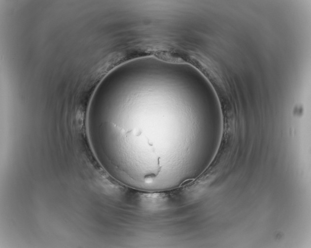 X0000091920281200709121545