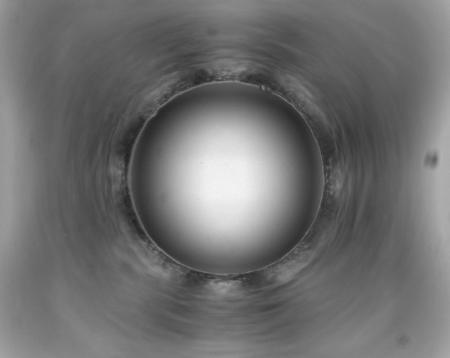 X0000091920283200709121545