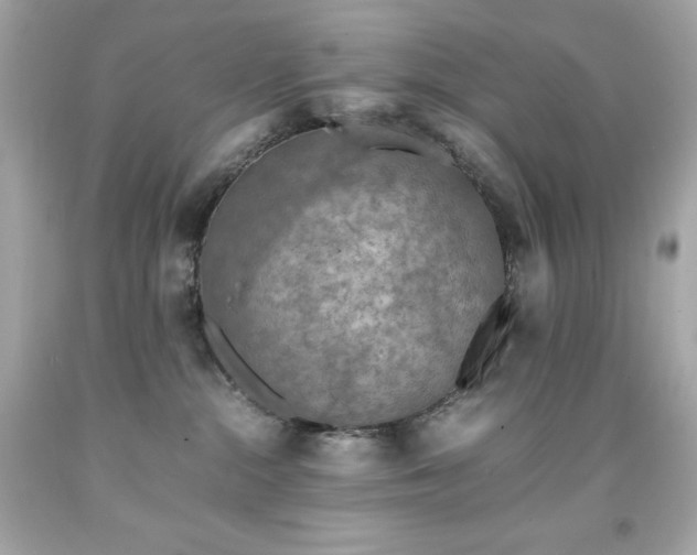 X0000091920284200709121545