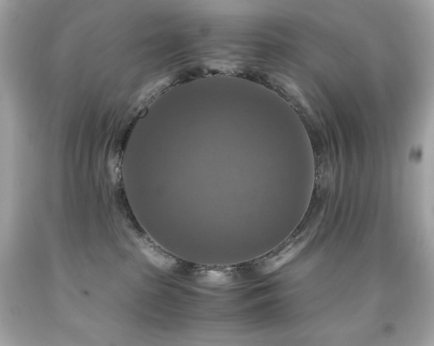 X0000091920285200709121545