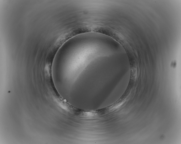 X0000091920286200709121545